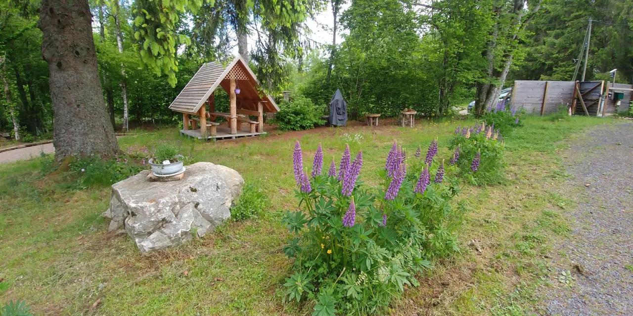 Chalet De Martimprey - Chalets - Gites - Chambres D' Hotes Et Spas Gérardmer Exteriér fotografie